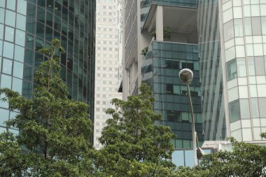 Singapur 'da şehir manzarası