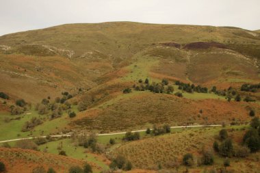 Bir sonbahar gününde Irati Ormanı