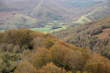 Bir sonbahar gününde Irati Ormanı