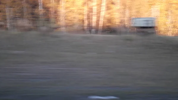 Autofahren Auf Einer Autobahn Schweden — Stockfoto