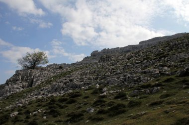 Bask ülkesinin dağlarında yürüyüş.