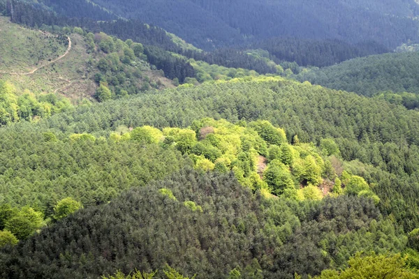 バスク地方の山の中をハイキング — ストック写真