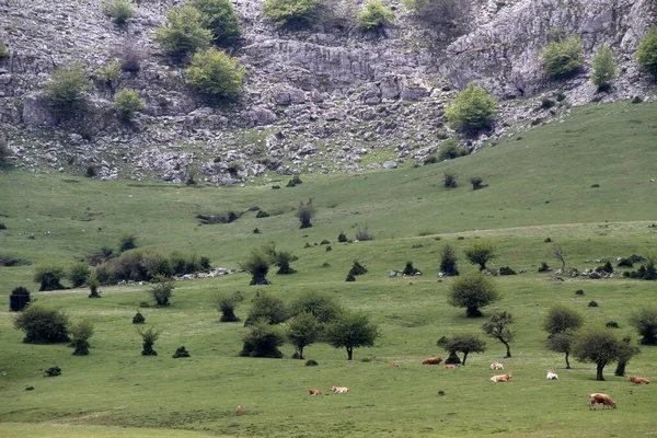 Πεζοπορία Στα Βουνά Της Χώρας Των Βάσκων — Φωτογραφία Αρχείου