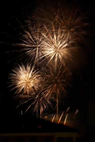 Exhibition Fireworks Night — Stock Photo, Image