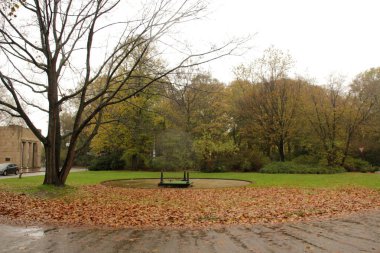 Şehir parkında sonbahar