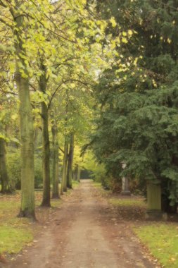 Şehir parkında sonbahar