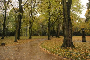 Şehir parkında sonbahar