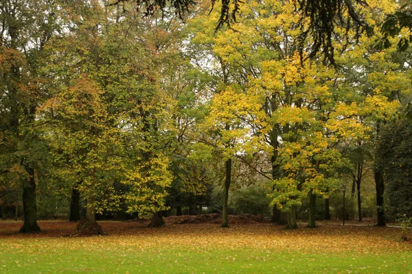 Jesień Miejskim Parku — Zdjęcie stockowe
