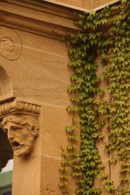 Nuremberg 'in manzarası