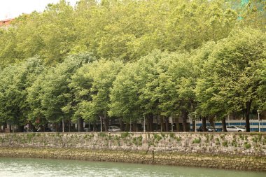 San Sebastian şehrinde şehir manzarası