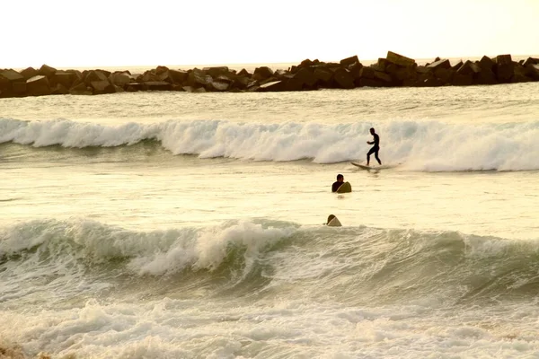 Surfer Bord Pays Basque — Photo