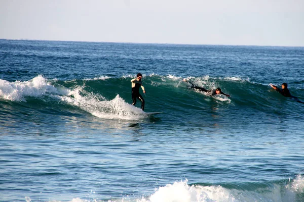 Surfer Bord Pays Basque — Photo