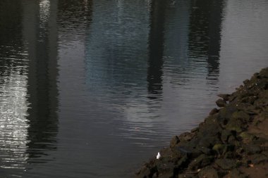 Bilbao şehrinin şehir manzarası