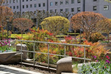 Paris 'in mimari mirası.