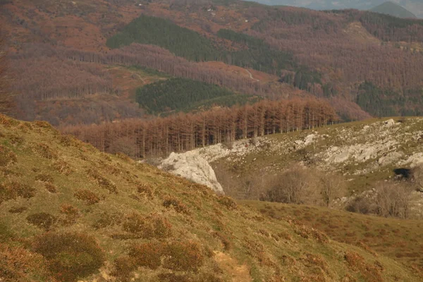 バスク地方の山の中の風景 — ストック写真