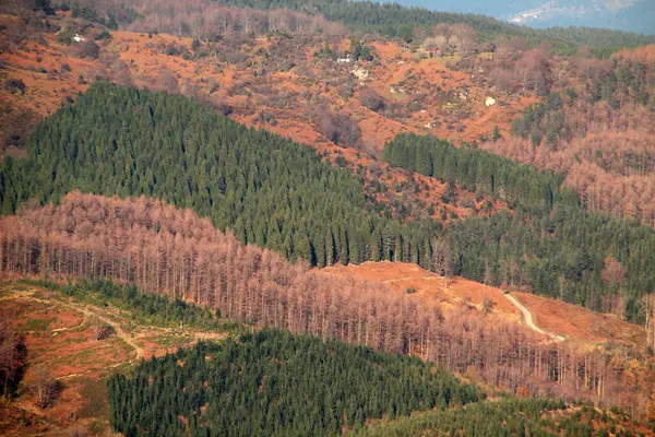 バスク地方の山の中の風景 — ストック写真