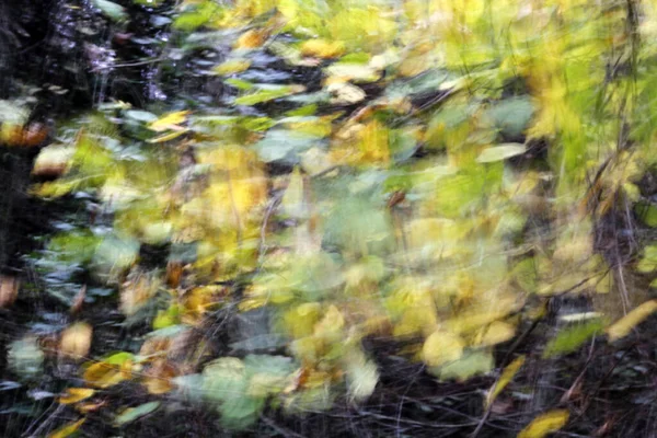 Blick Auf Einen Wald Herbstfarben — Stockfoto
