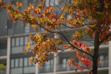 Bilbao kentinin kent manzarası