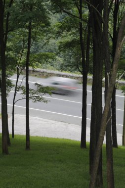 San Sebastian şehrinde bina