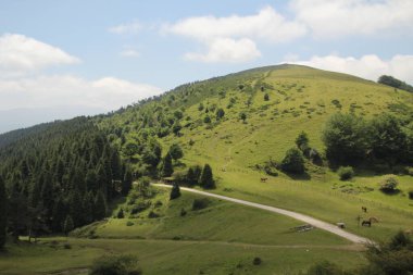 Bask Ülkesi 'nde Dağ