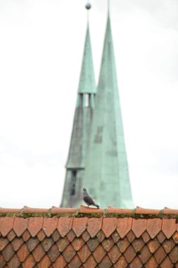 Eski Nuremberg kasabasının mimarisi.