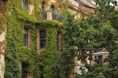 Nuremberg şehir merkezinin mimarisi.