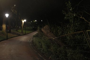 Geceleyin sisli bir yolda