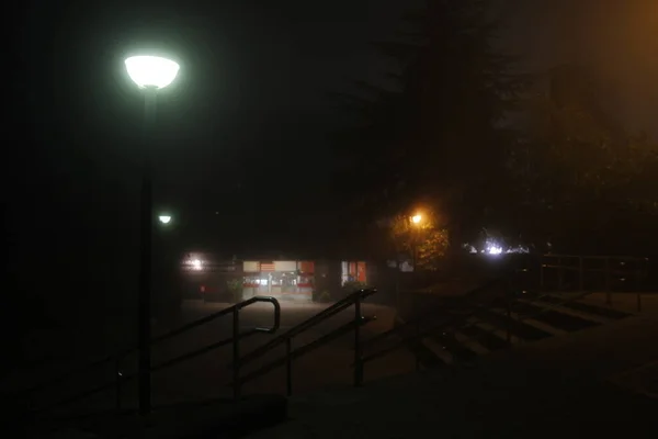 Ομίχλη Στο Δρόμο Νύχτα — Φωτογραφία Αρχείου