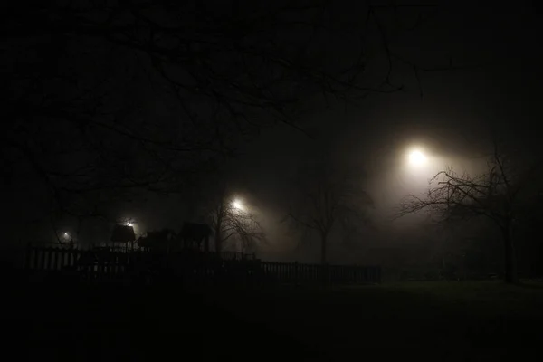 Nevoeiro Uma Estrada Noite — Fotografia de Stock