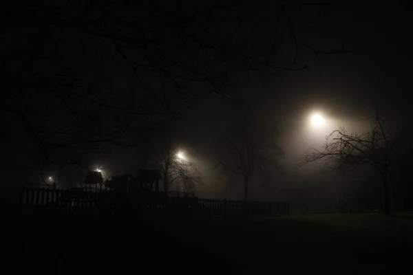 Brouillard Dans Une Route Nuit — Photo