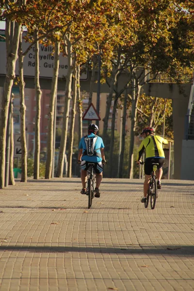 Biking Berlin – stockfoto