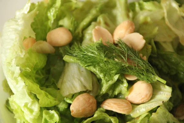 Frischer Salat Auf Einem Teller — Stockfoto