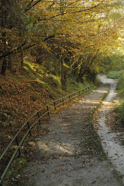 Φθινόπωρο Χρώματα Ένα Αστικό Πάρκο — Φωτογραφία Αρχείου