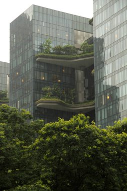 Singapur 'da şehir manzarası