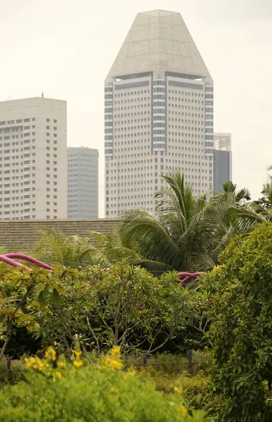 Urbanscape Ciudad Estado Singapur — Foto de Stock