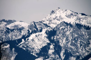 Alman Alplerinde kış manzarası