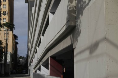 Miami 'de şehir manzarası