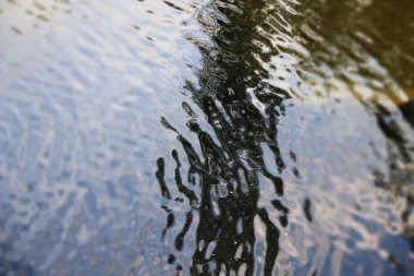 Suyun yüzeyindeki yansımalar.