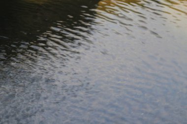 Suyun yüzeyindeki yansımalar.