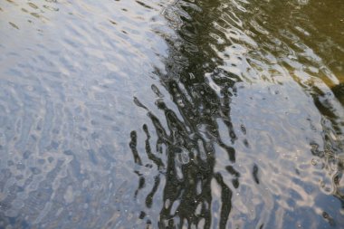 Suyun yüzeyindeki yansımalar.