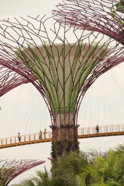 Singapur şehir merkezi manzarası