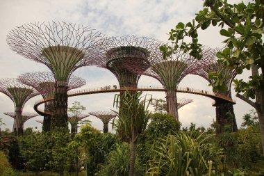 Singapur şehir merkezi manzarası