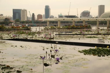 Singapur şehir merkezi manzarası