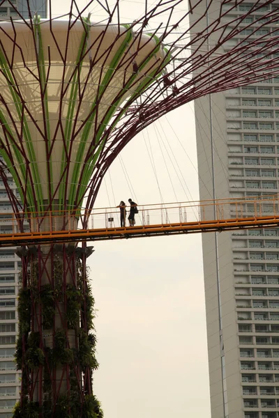 Vista Del Centro Singapur — Foto de Stock