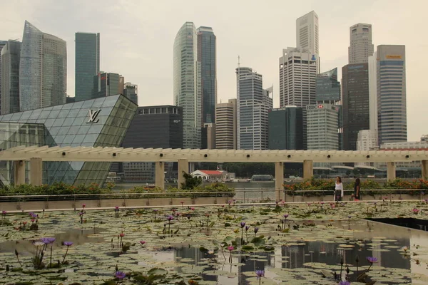 新加坡市中心的景色 — 图库照片