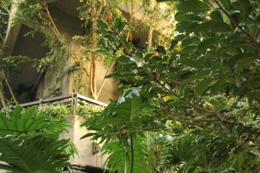 Londra 'da şehir manzarası