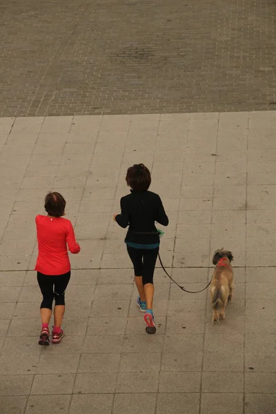 Allenamento Corridori Nel Parco — Foto Stock