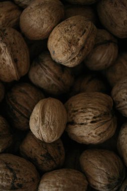 Bir yığın fındık yakın