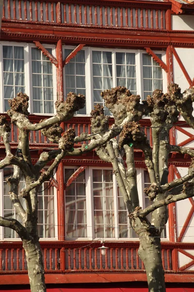 Saint Jean Luz Francie — Stock fotografie