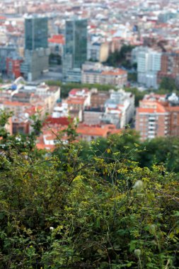Bilbao kentinin kent manzarası